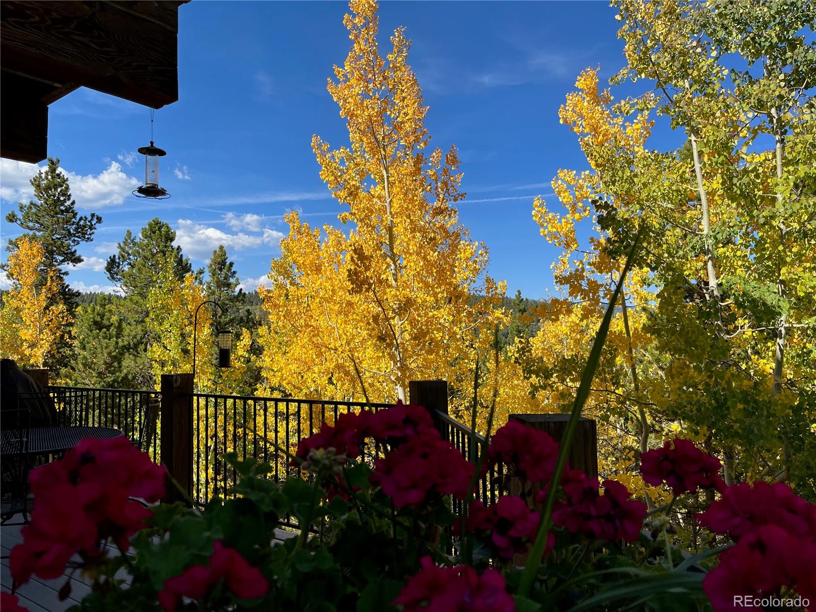 3000 Smith Hill Road Black Hawk, CO 80422 - Photo 16 of 40