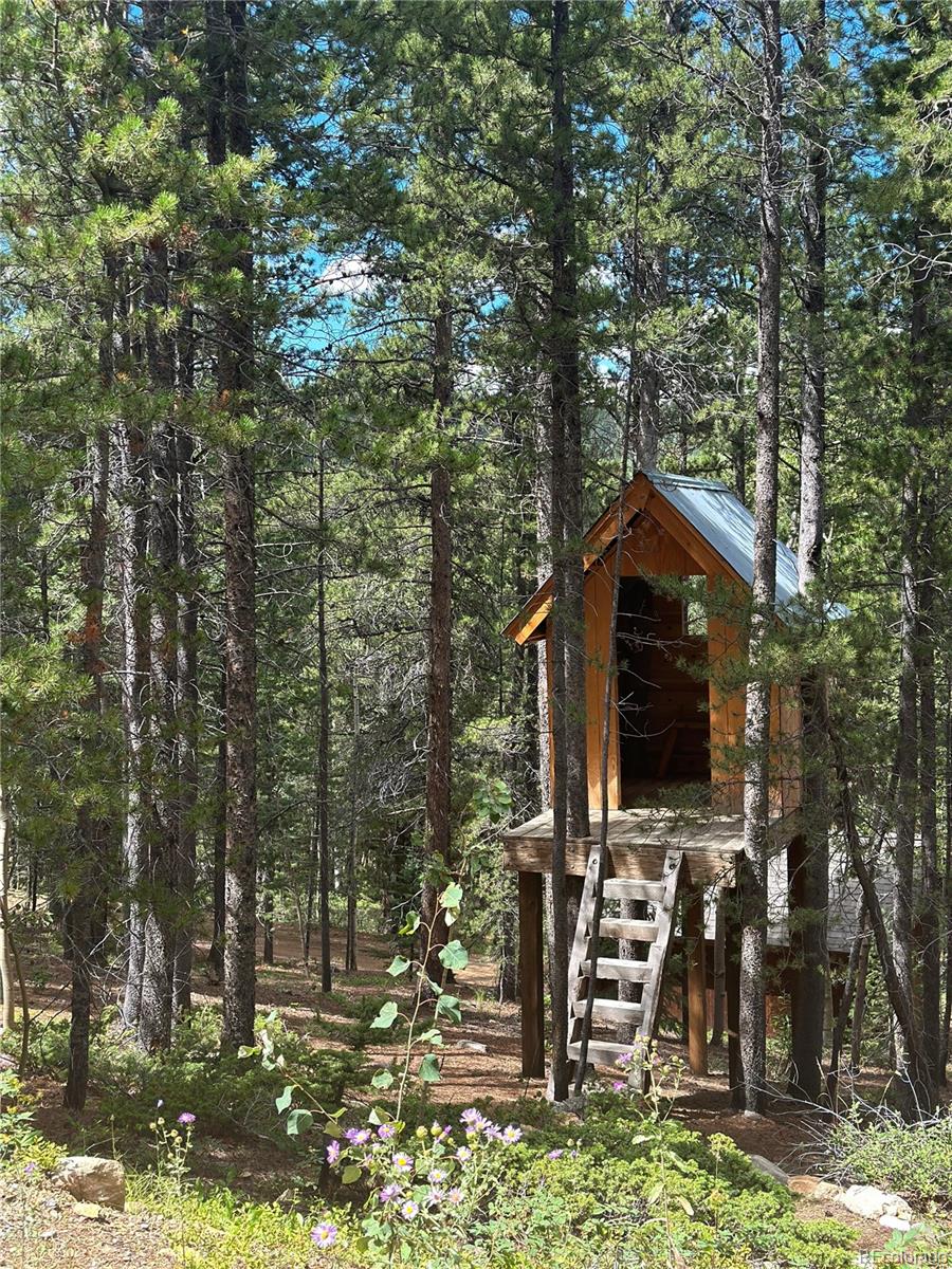 3000 Smith Hill Road Black Hawk, CO 80422 - Photo 39 of 40