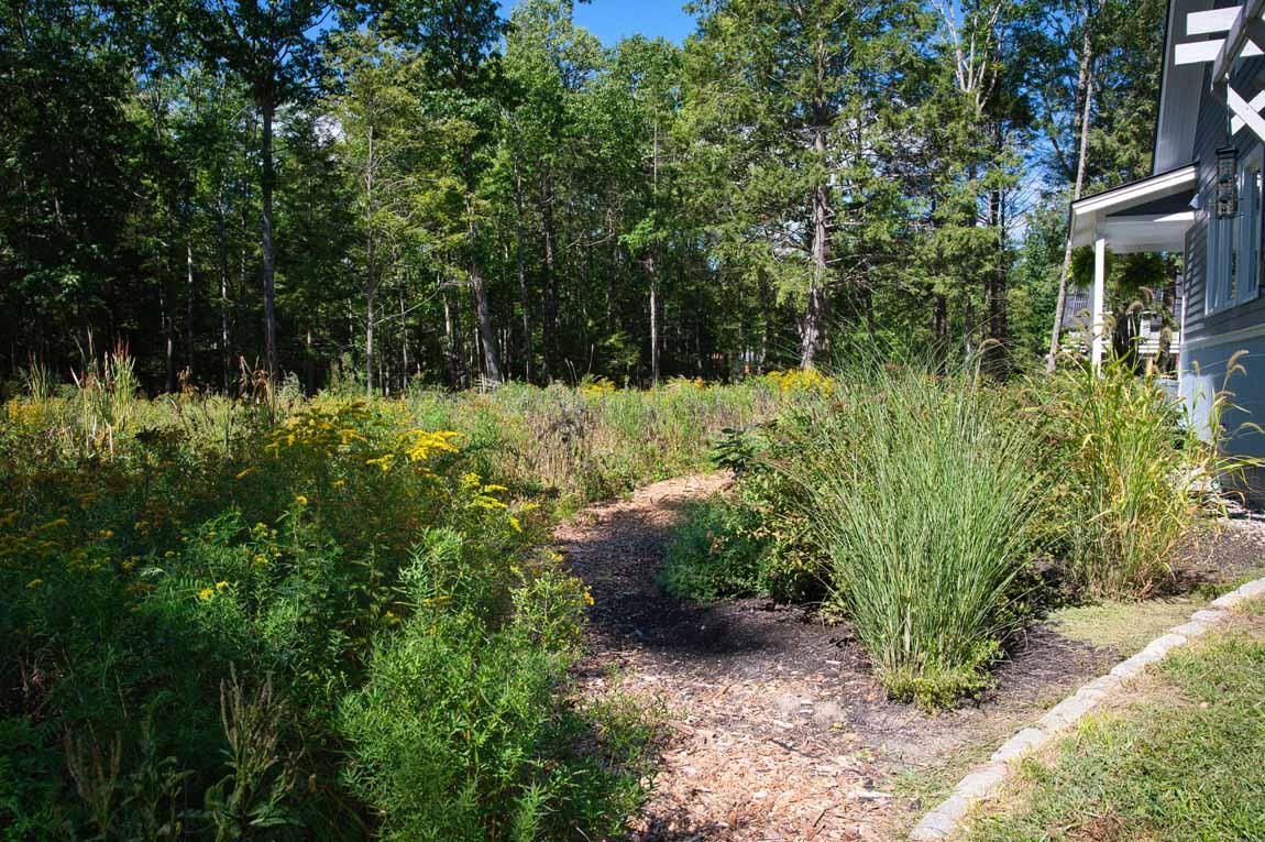42 Intervale Road Freeport, ME 04032 - Photo 22 of 41 Flowering meadow