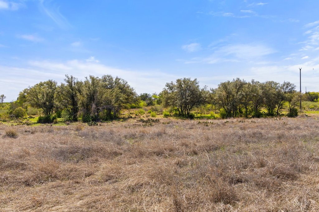 9580 Smith West Ranch Road Round Mountain, TX 78663 - Photo 12 of 26 a view of a field with trees in the background