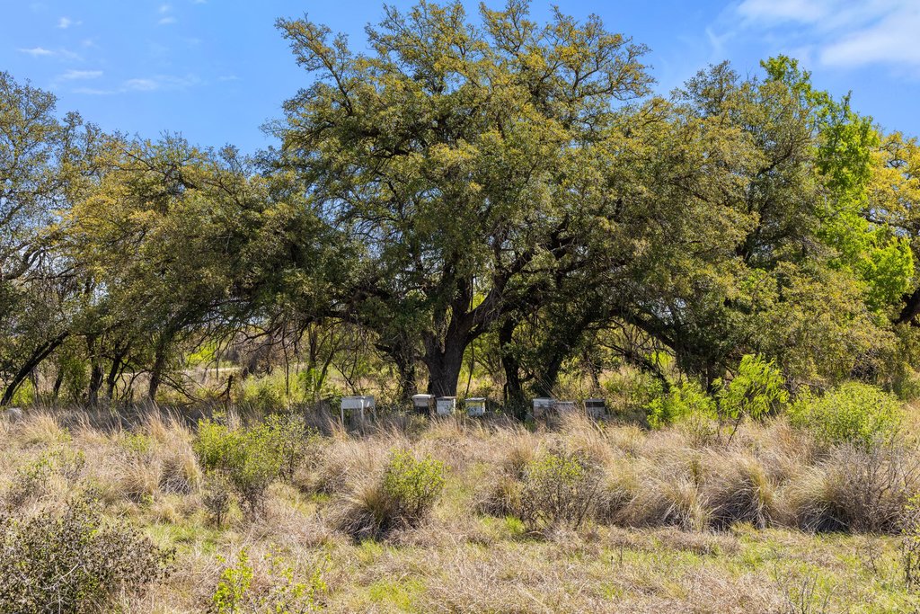 9580 Smith West Ranch Road Round Mountain, TX 78663 - Photo 14 of 26 a view of a yard