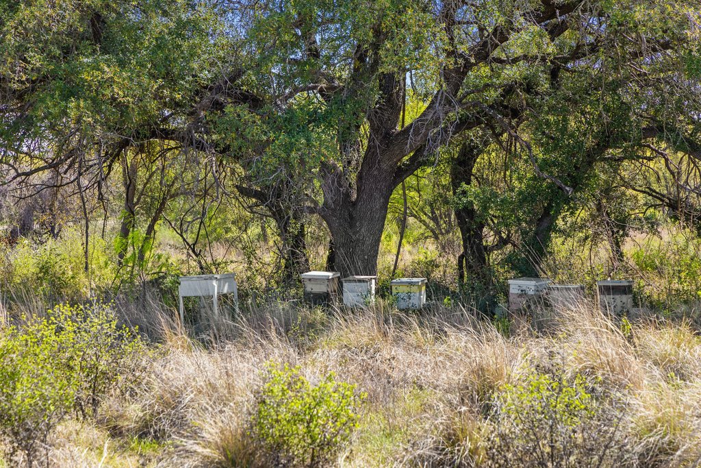 9580 Smith West Ranch Road Round Mountain, TX 78663 - Photo 15 of 26 a backyard of a house with lots of green space