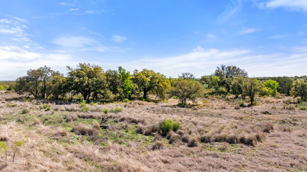 9580 Smith West Ranch Road Round Mountain, TX 78663 - Photo 19 of 26 a view of a dry yard with trees and bushes
