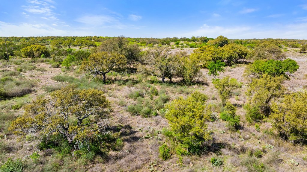 9580 Smith West Ranch Road Round Mountain, TX 78663 - Photo 22 of 26 a view of a forest with an outdoor space