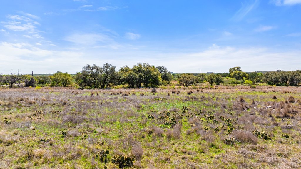 9580 Smith West Ranch Road Round Mountain, TX 78663 - Photo 23 of 26 a view of a field with trees in background