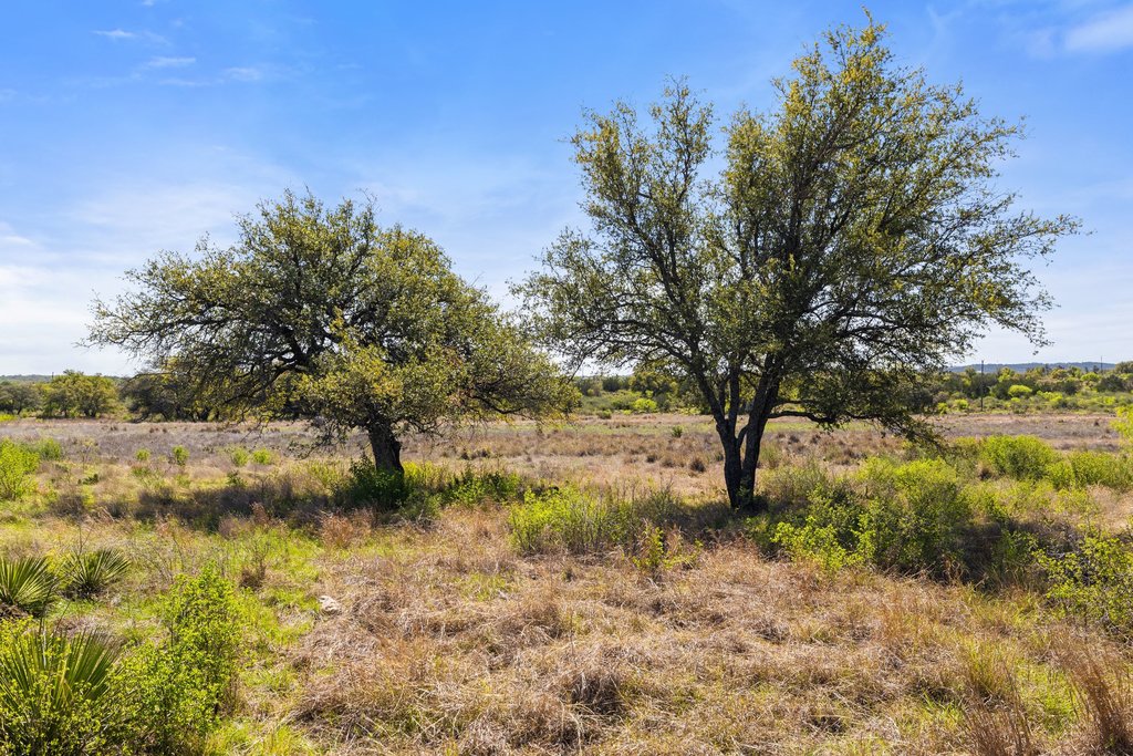 9580 Smith West Ranch Road Round Mountain, TX 78663 - Photo 9 of 26 a view of a yard with a tree