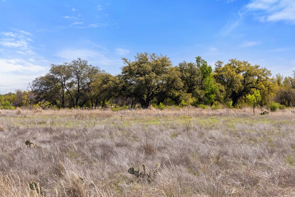 9580 Smith West Ranch Road Round Mountain, TX 78663 - Photo 10 of 26 a view of a yard with trees in the background