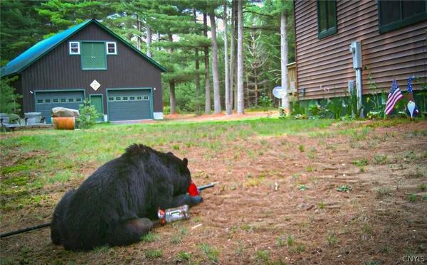 $430,000 | 8155 Number 4 Road, New Bremen, NY 13367