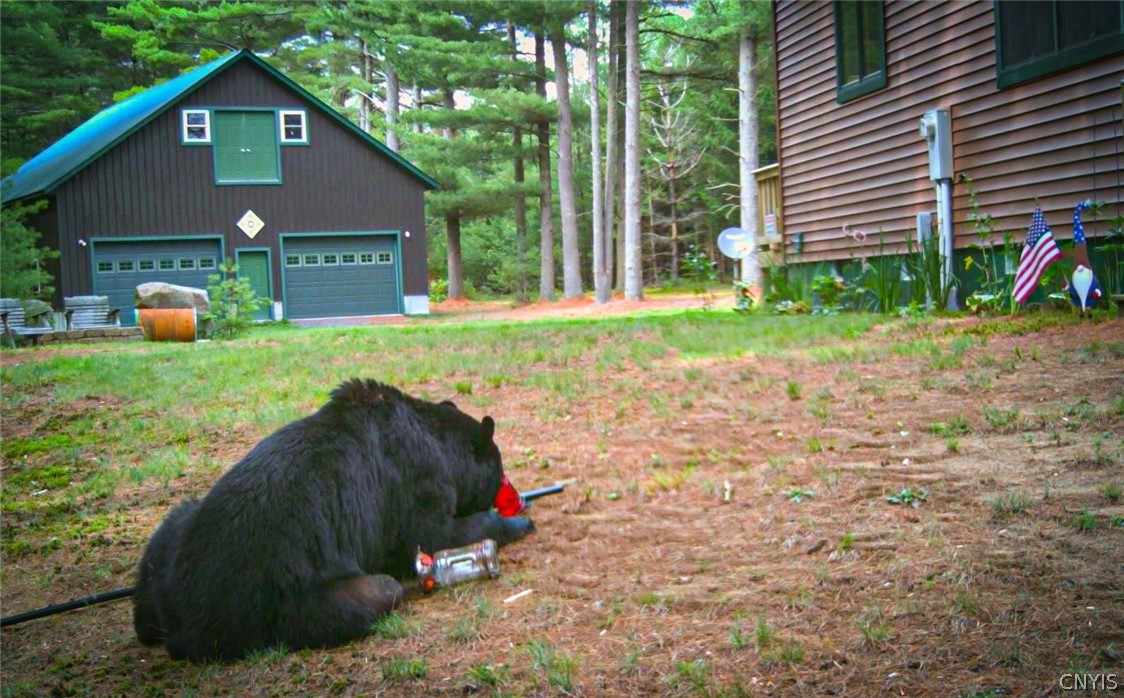 8155 Number 4 Road New Bremen, NY 13367 - Photo 7 of 50
