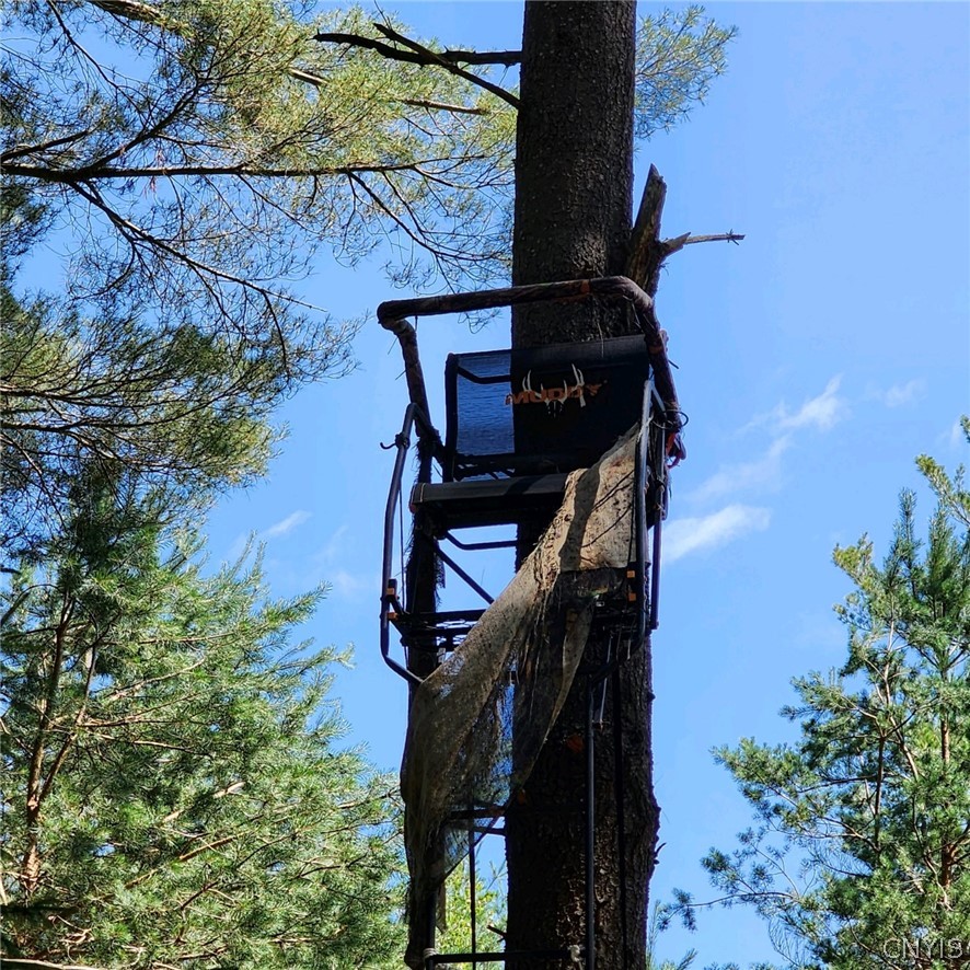 8155 Number 4 Road New Bremen, NY 13367 - Photo 8 of 50