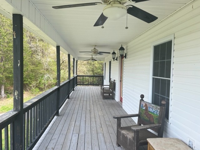 Gallery Image 7