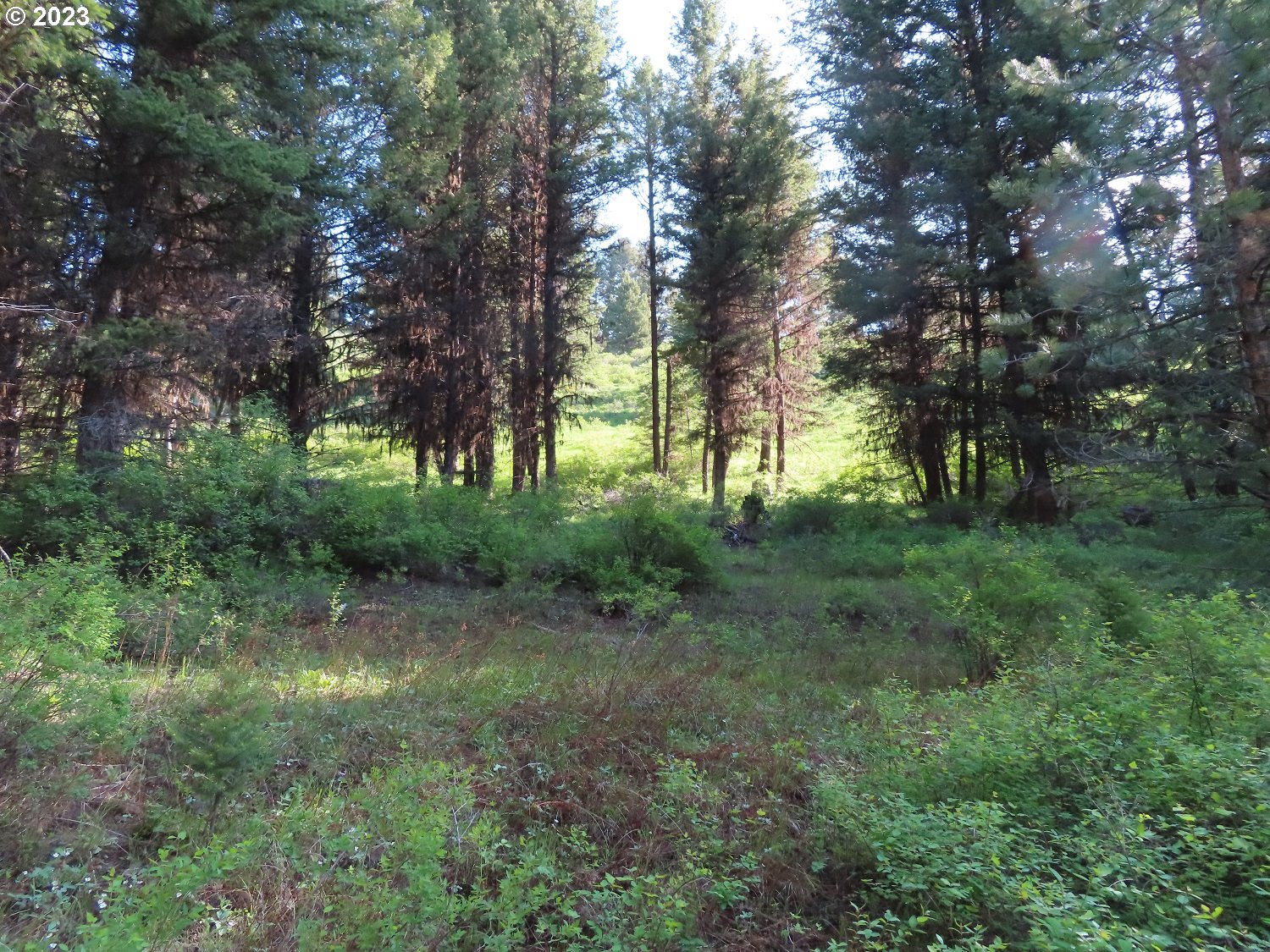 383 Pontiac Ridge Road, Unit A & B Oroville, WA 98844 - Photo 1 of 31