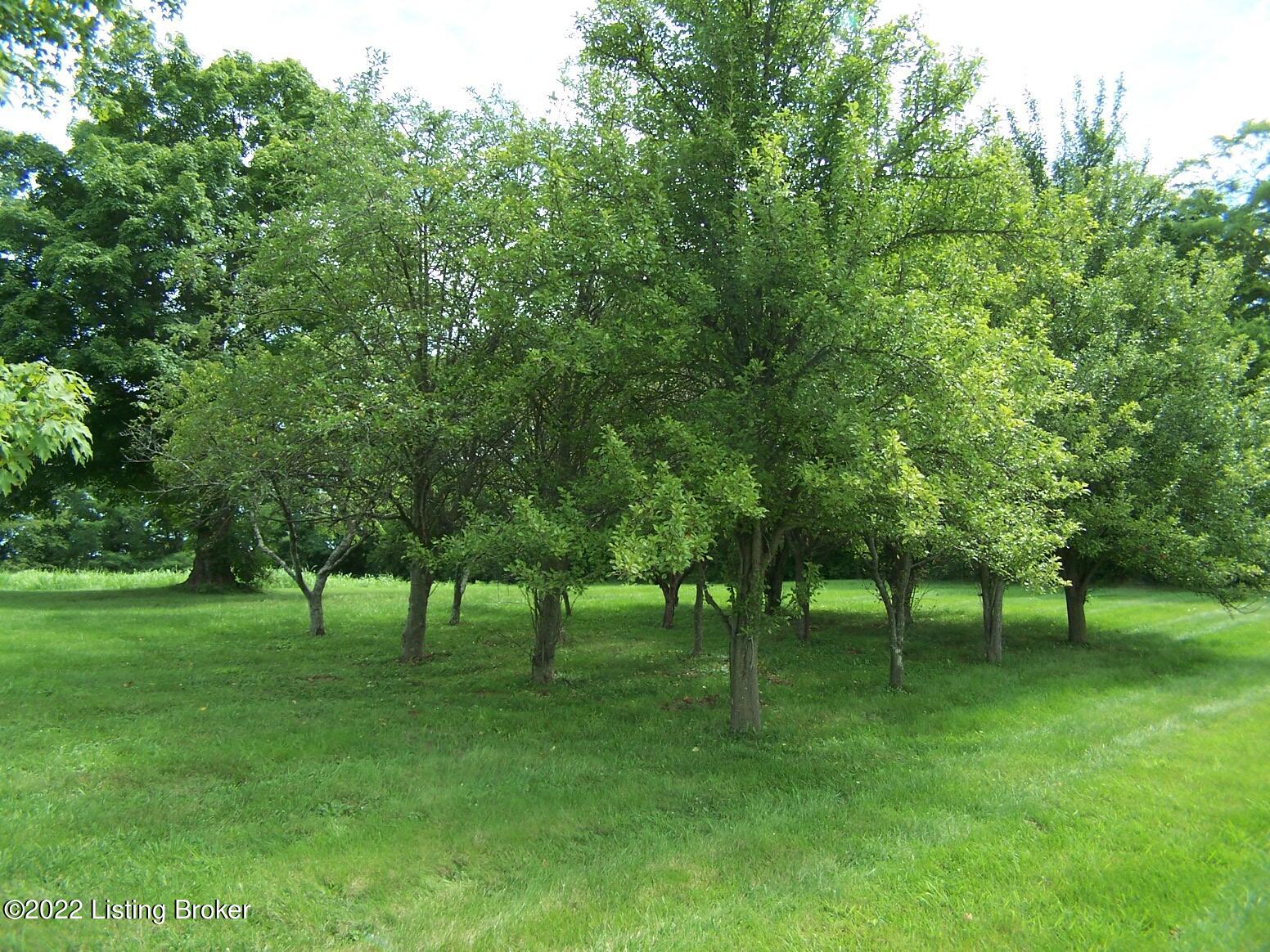 6976 Sulphur Road Sulphur, KY 40070 - Photo 6 of 31 Apple, Pear and Peach Orchard