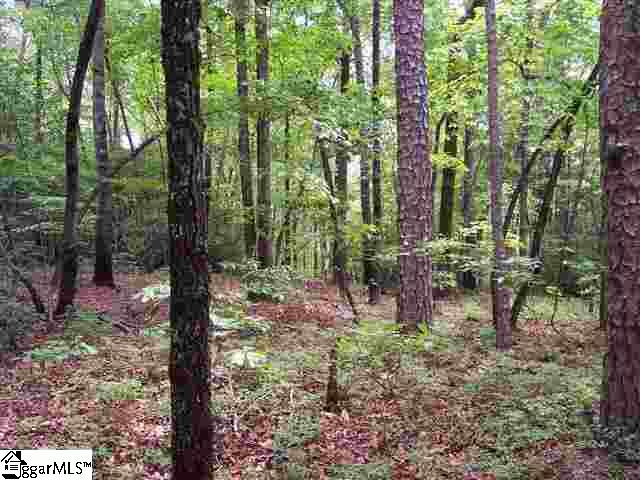 Curts Way, Unit TRACT 19 Cleveland, SC 29635 - Photo 5 of 10