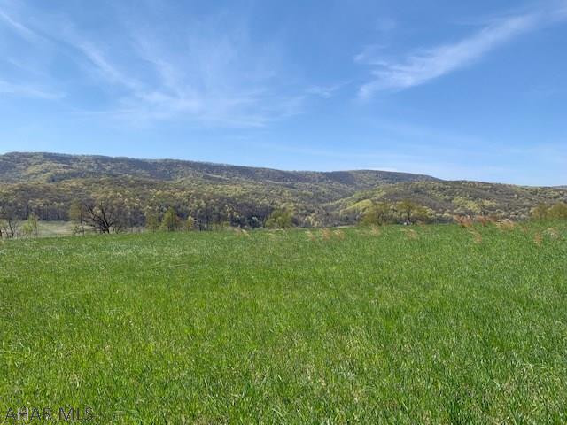 600 Corley Road Manns Choice, PA 15550 - Photo 8 of 59