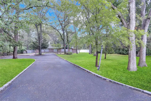a view of a park with large trees