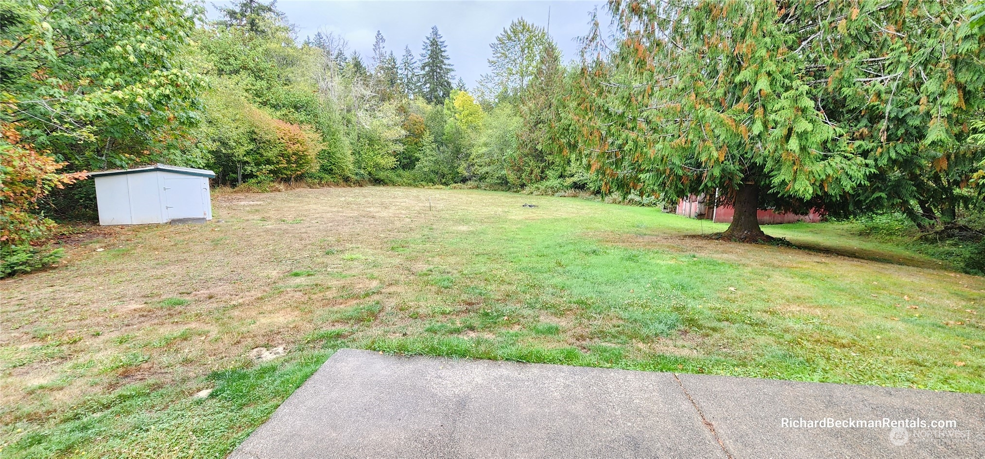 40 Southeast My Road Shelton, WA 98584 - Photo 21 of 25 a backyard of a house with lots of green space