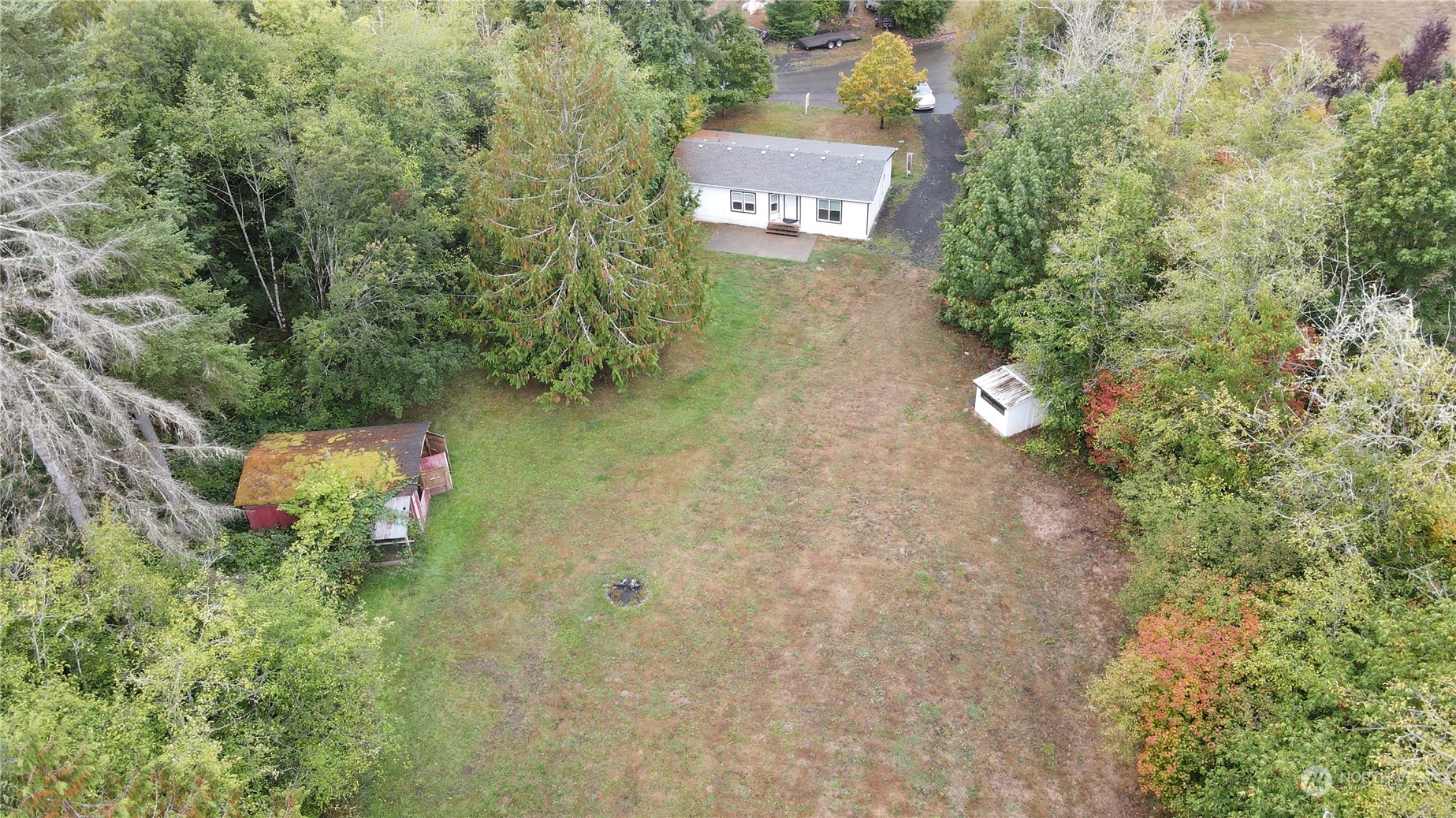 40 Southeast My Road Shelton, WA 98584 - Photo 22 of 25 a picture of a tree with a yard