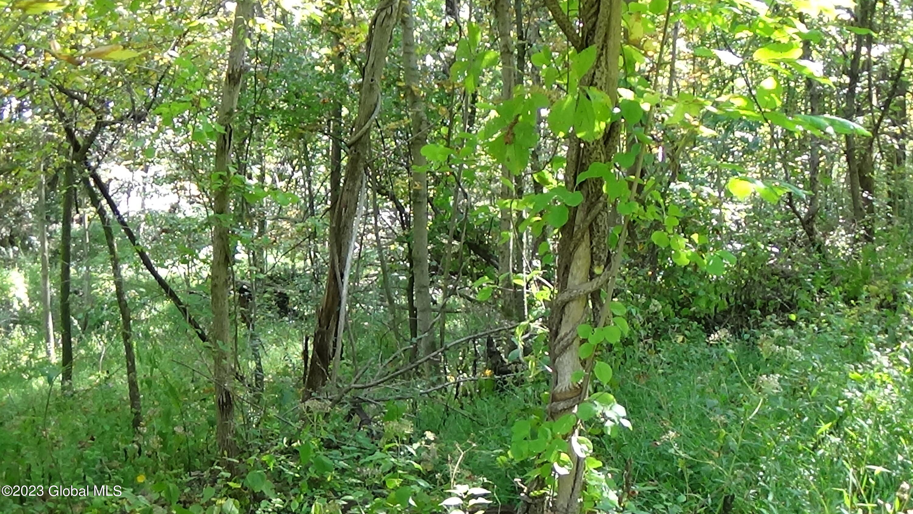 0 River Road West Coxsackie, NY 12192 - Photo 11 of 30 DSC00256