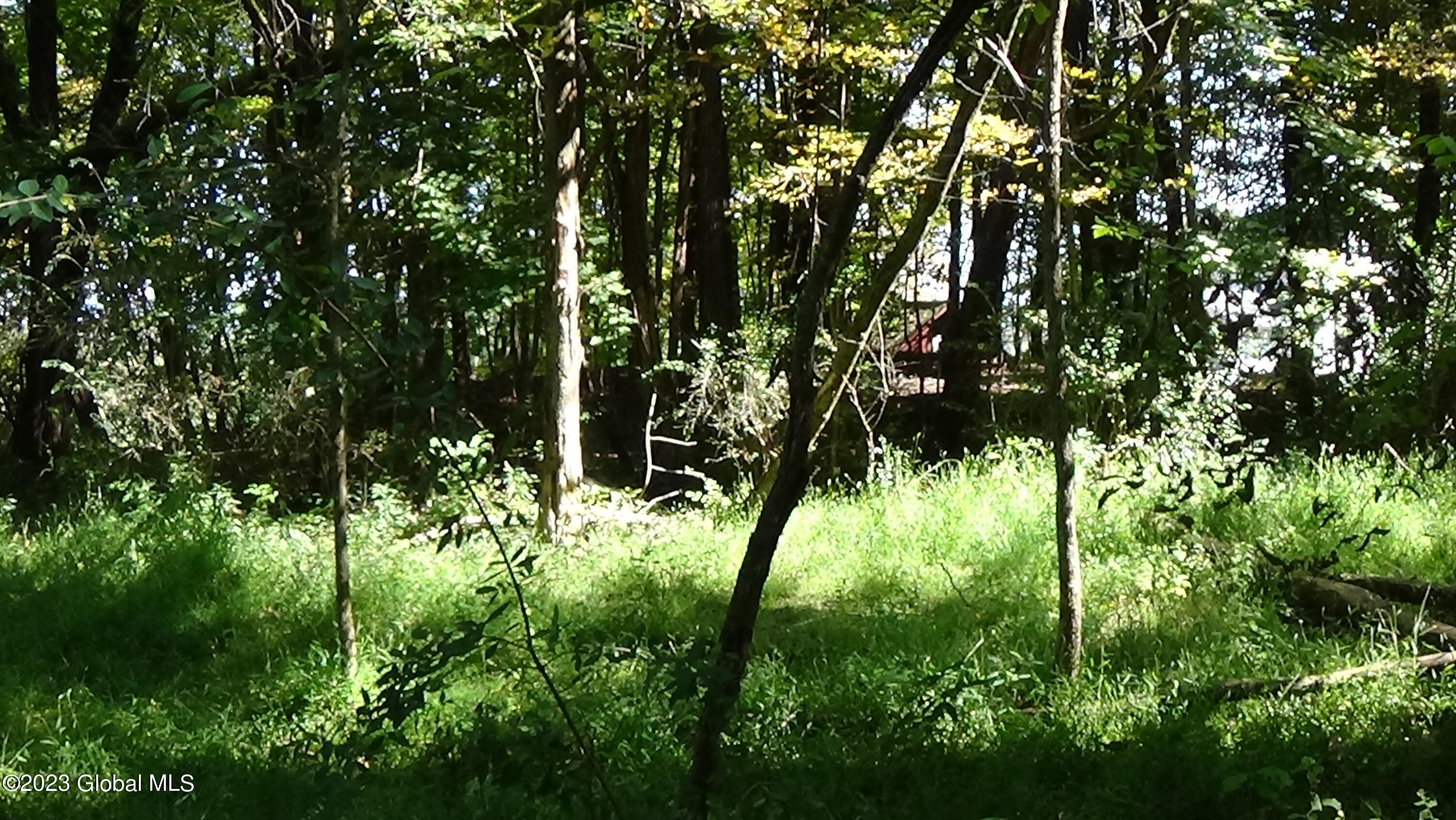 0 River Road West Coxsackie, NY 12192 - Photo 12 of 30 DSC00257