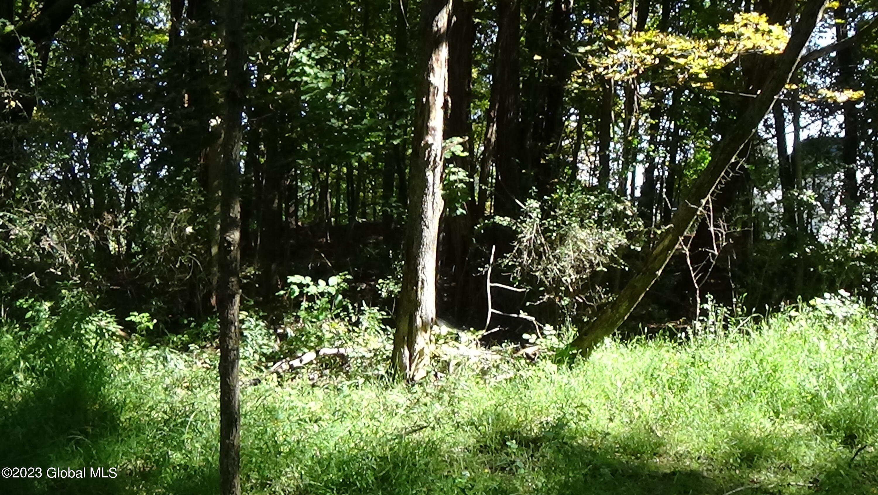 0 River Road West Coxsackie, NY 12192 - Photo 13 of 30 DSC00258