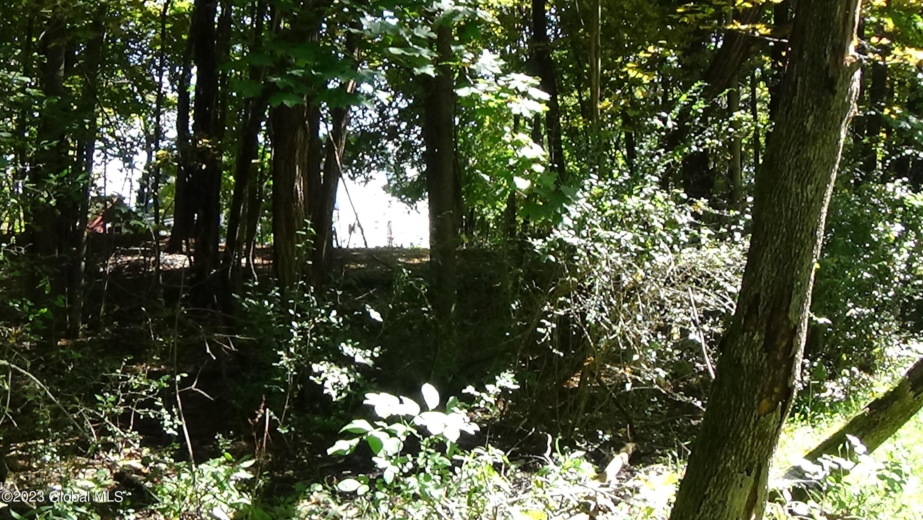 0 River Road West Coxsackie, NY 12192 - Photo 14 of 30 DSC00259