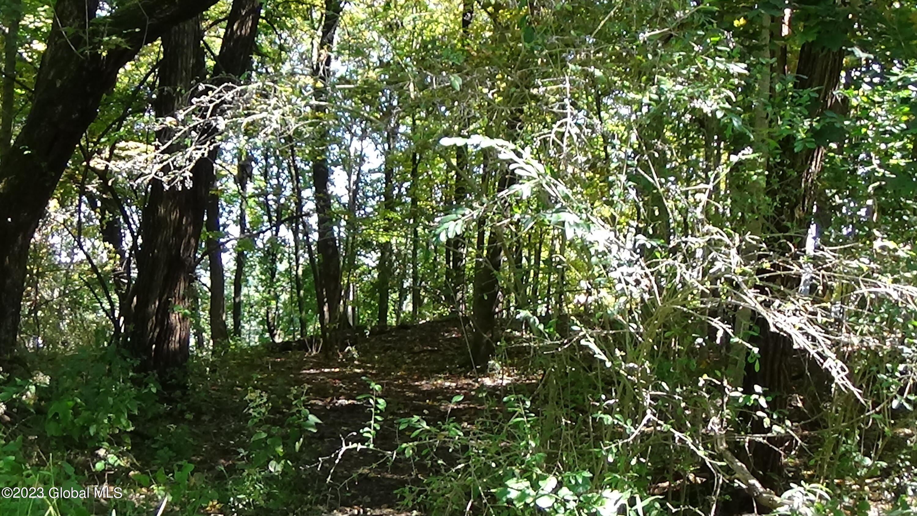 0 River Road West Coxsackie, NY 12192 - Photo 15 of 30 DSC00260