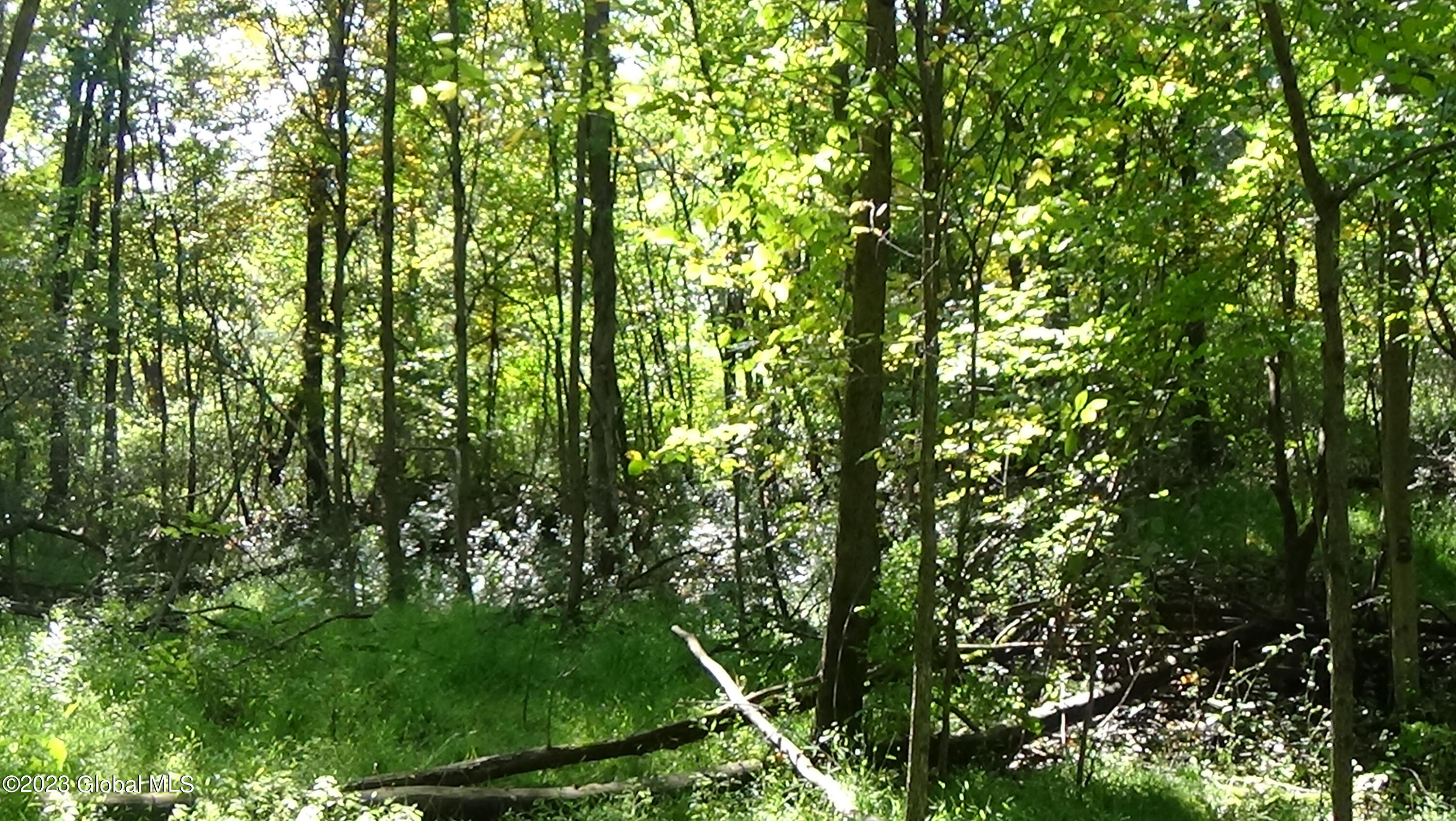 0 River Road West Coxsackie, NY 12192 - Photo 16 of 30 DSC00261