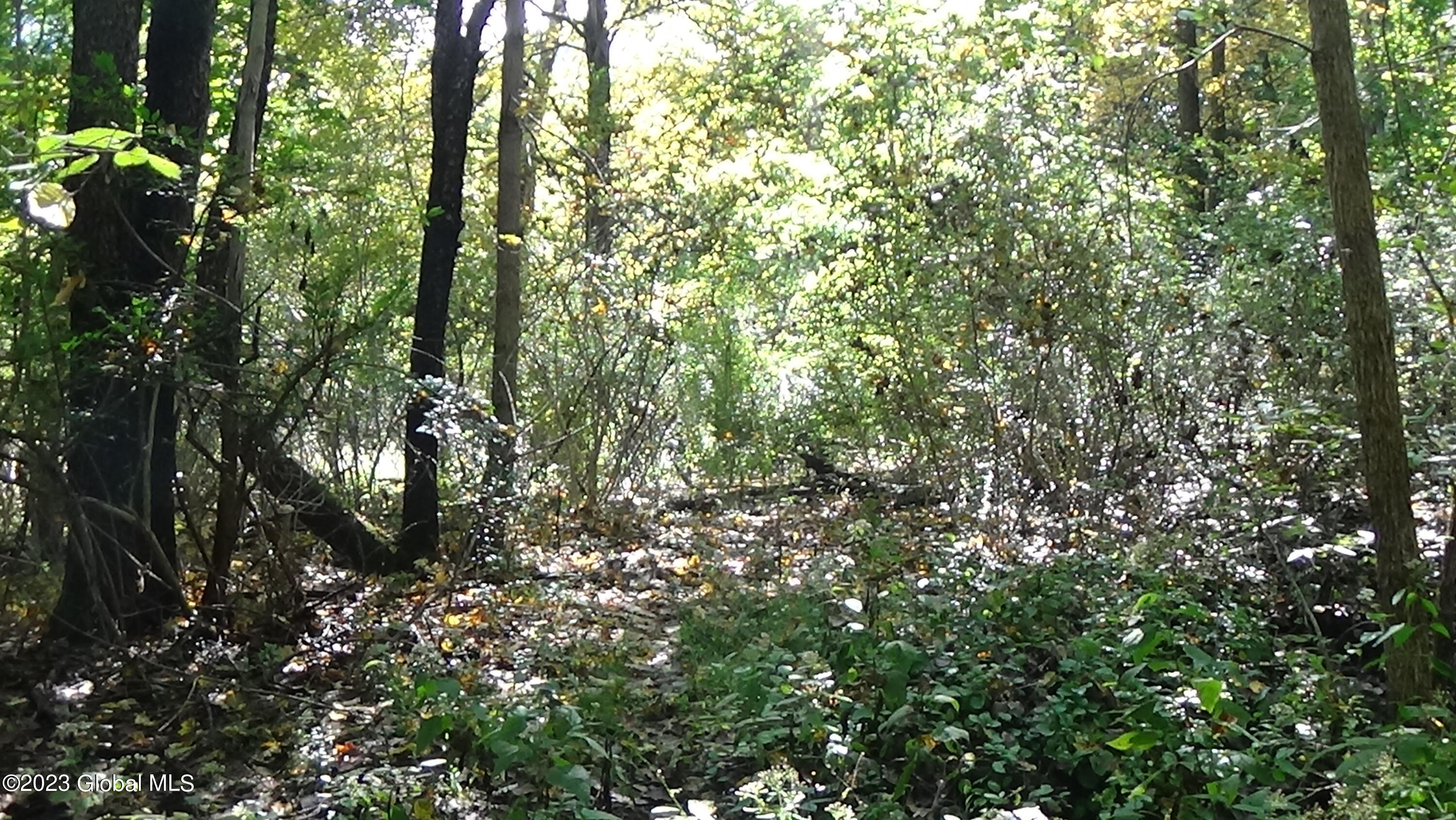 0 River Road West Coxsackie, NY 12192 - Photo 18 of 30 DSC00265