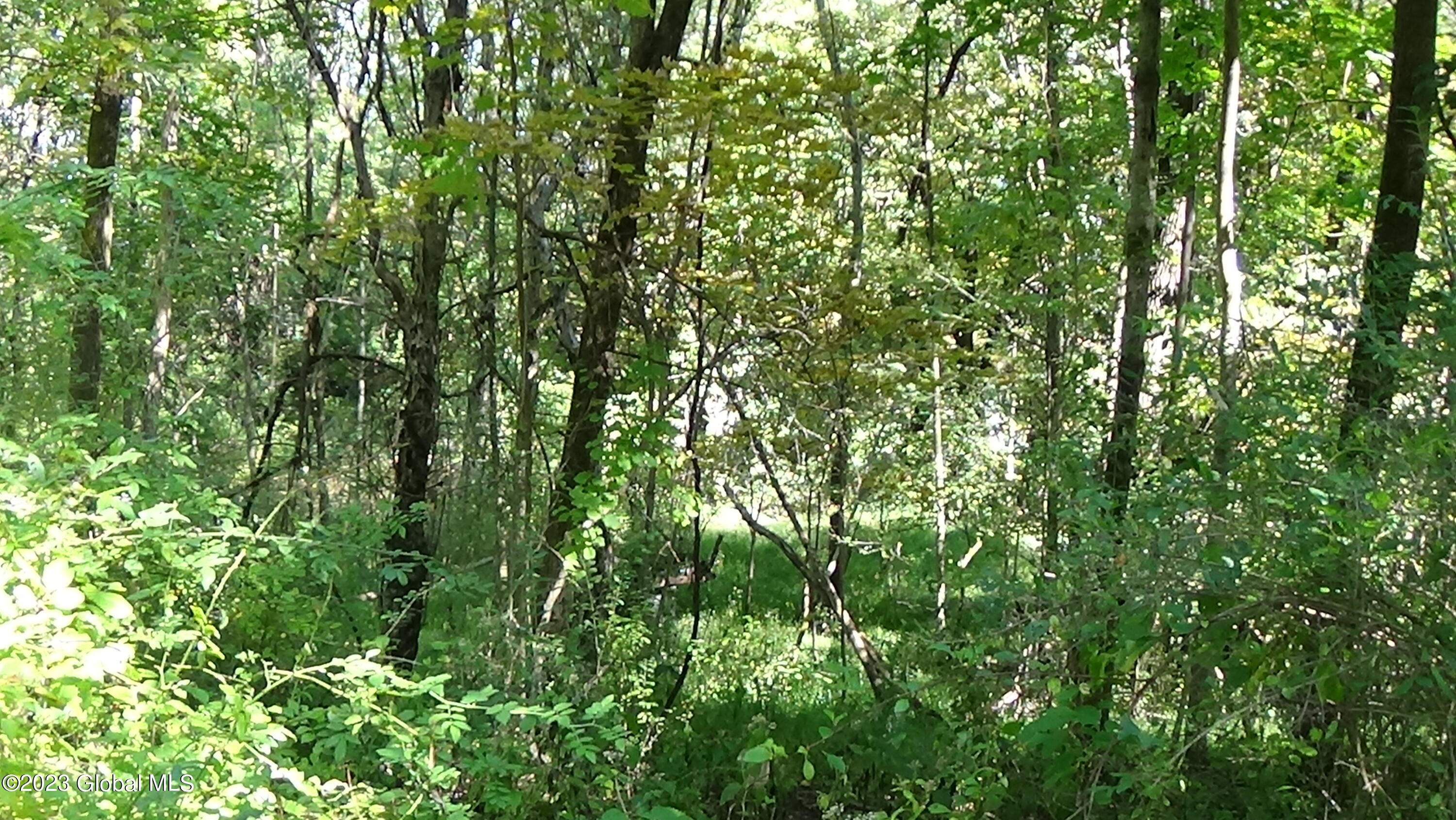 0 River Road West Coxsackie, NY 12192 - Photo 19 of 30 DSC00271
