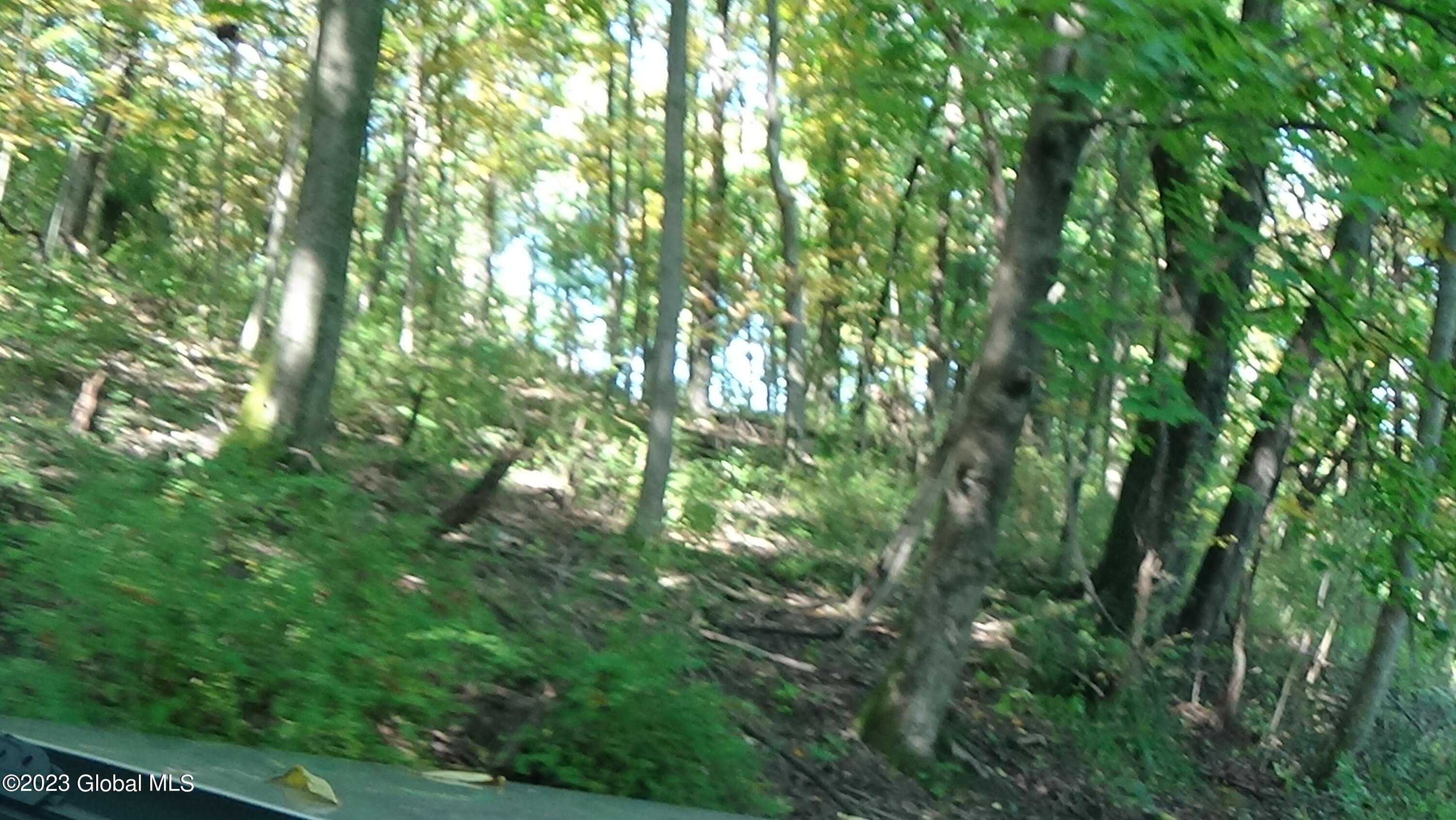 0 River Road West Coxsackie, NY 12192 - Photo 20 of 30 DSC00275
