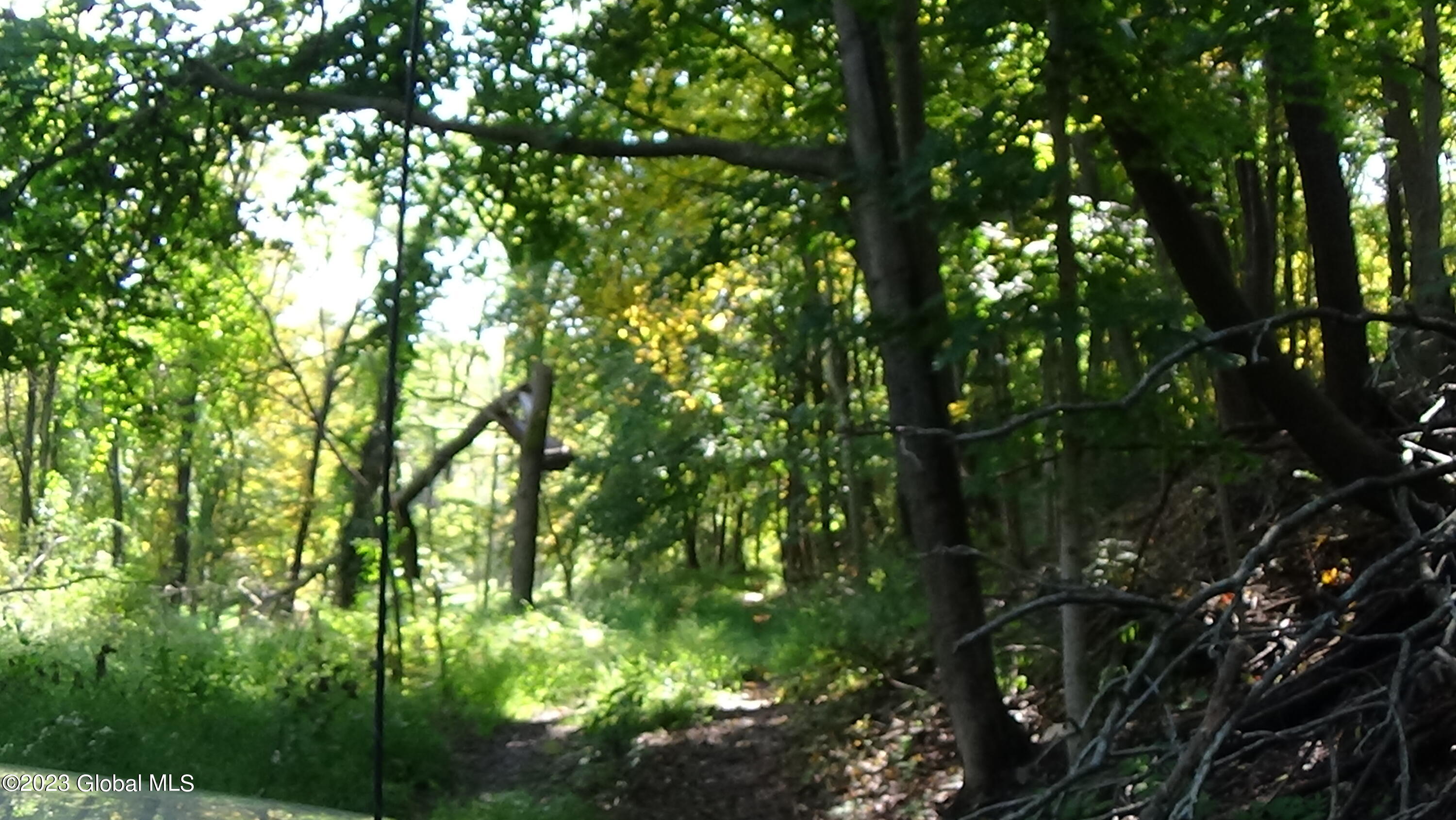 0 River Road West Coxsackie, NY 12192 - Photo 2 of 30 DSC00242