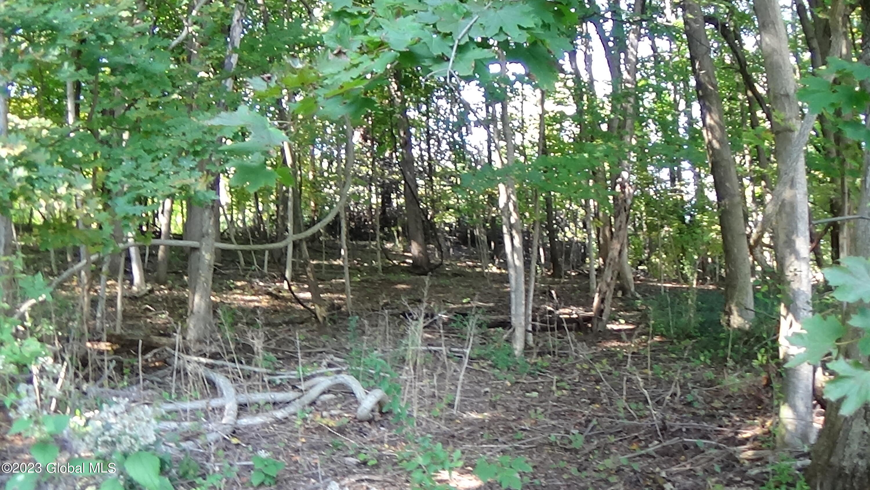 0 River Road West Coxsackie, NY 12192 - Photo 21 of 30 DSC00287