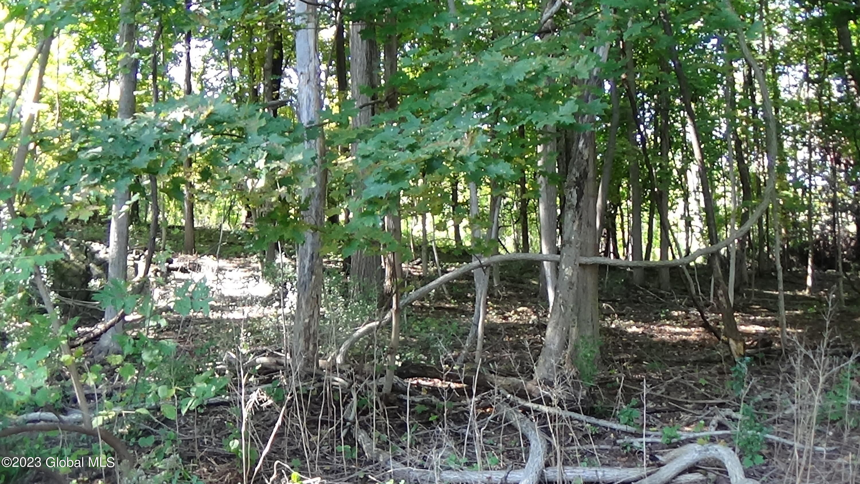 0 River Road West Coxsackie, NY 12192 - Photo 22 of 30 DSC00288