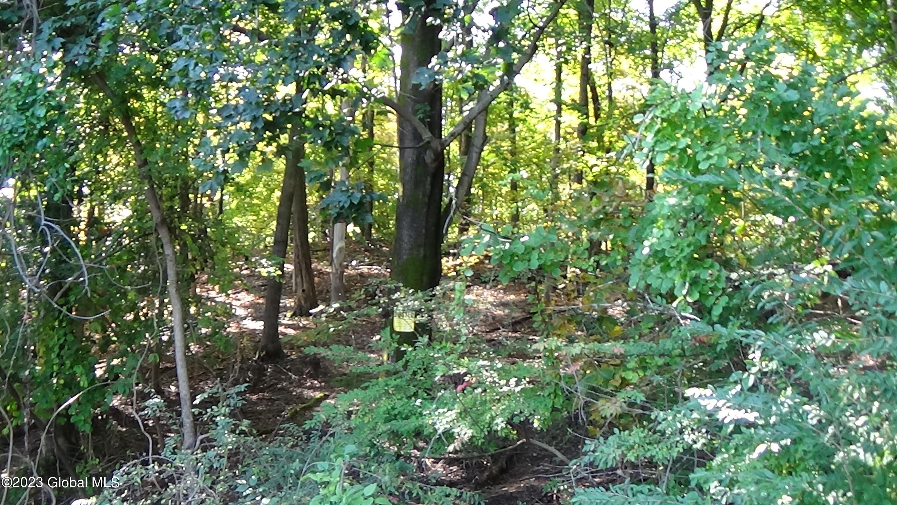 0 River Road West Coxsackie, NY 12192 - Photo 23 of 30 DSC00289