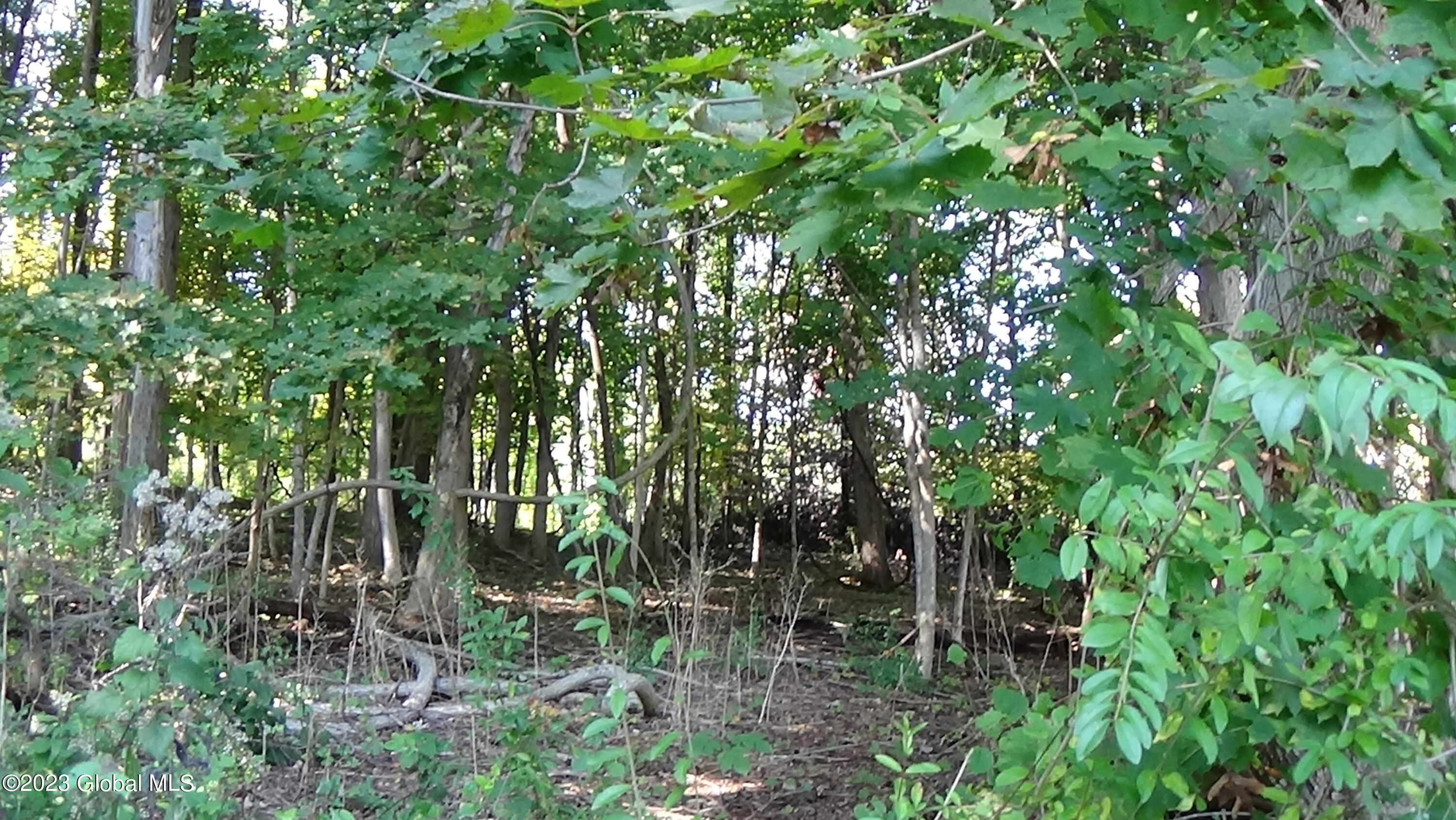 0 River Road West Coxsackie, NY 12192 - Photo 24 of 30 DSC00291
