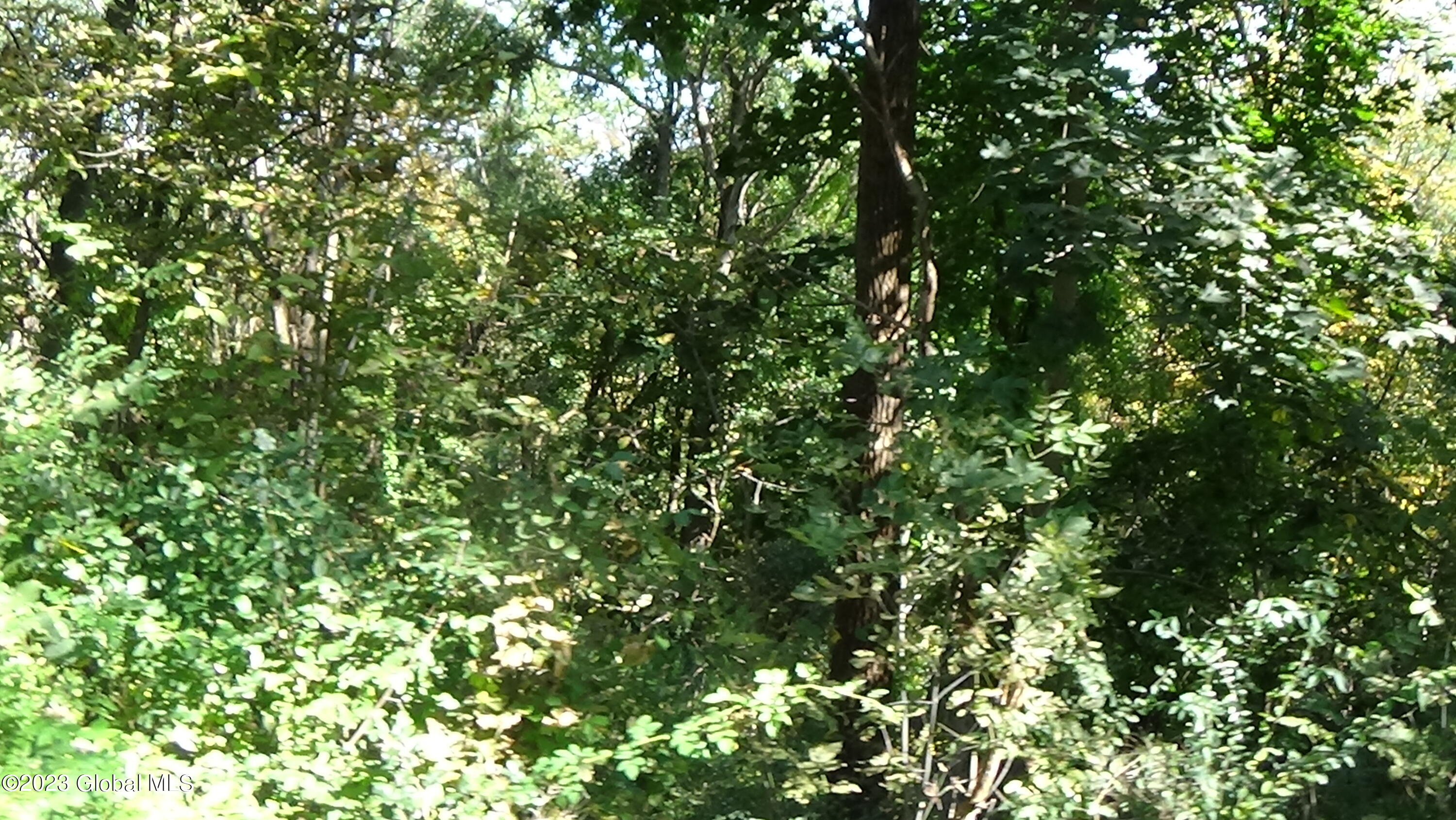 0 River Road West Coxsackie, NY 12192 - Photo 25 of 30 DSC00294