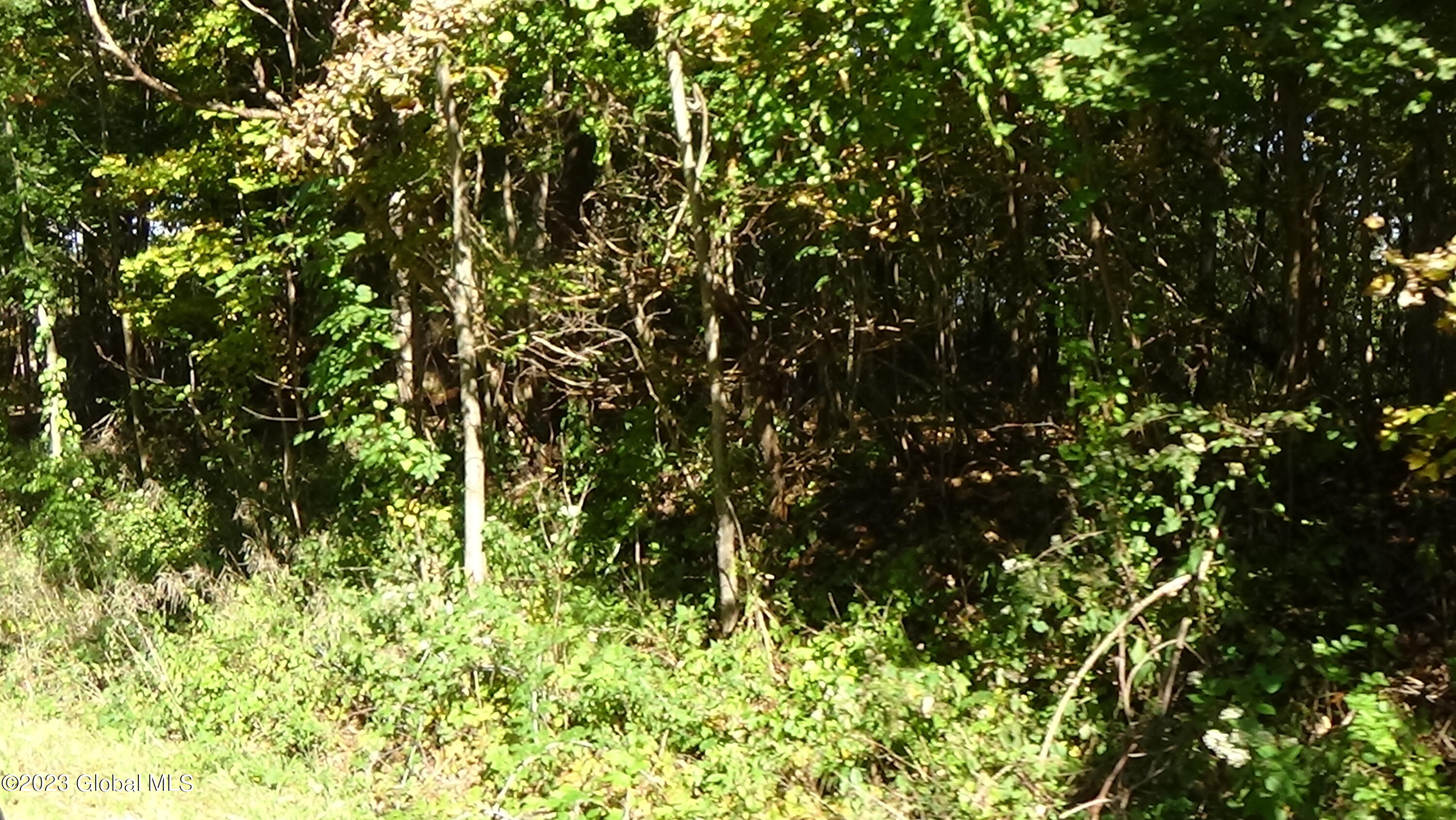 0 River Road West Coxsackie, NY 12192 - Photo 26 of 30 DSC00297