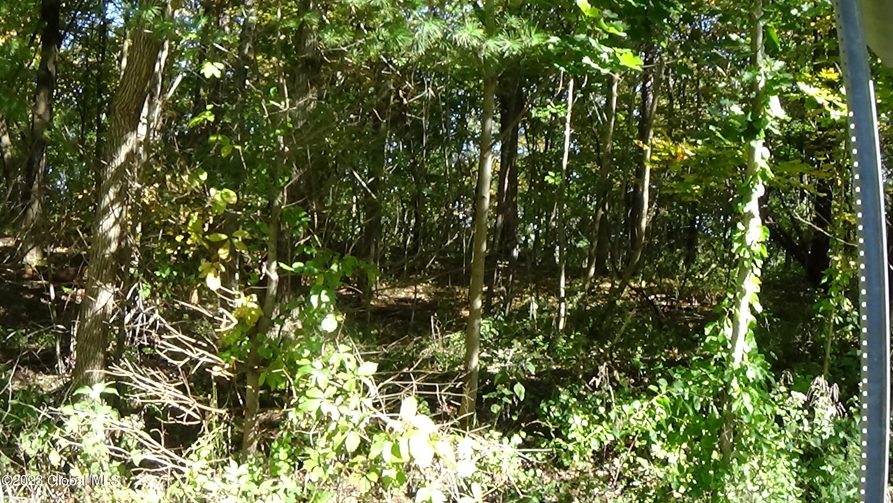 0 River Road West Coxsackie, NY 12192 - Photo 27 of 30 DSC00298