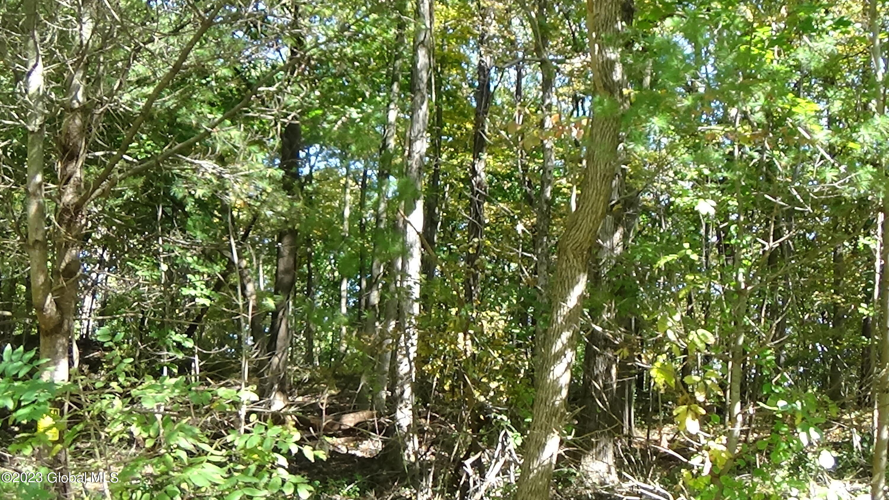 0 River Road West Coxsackie, NY 12192 - Photo 28 of 30 DSC00299