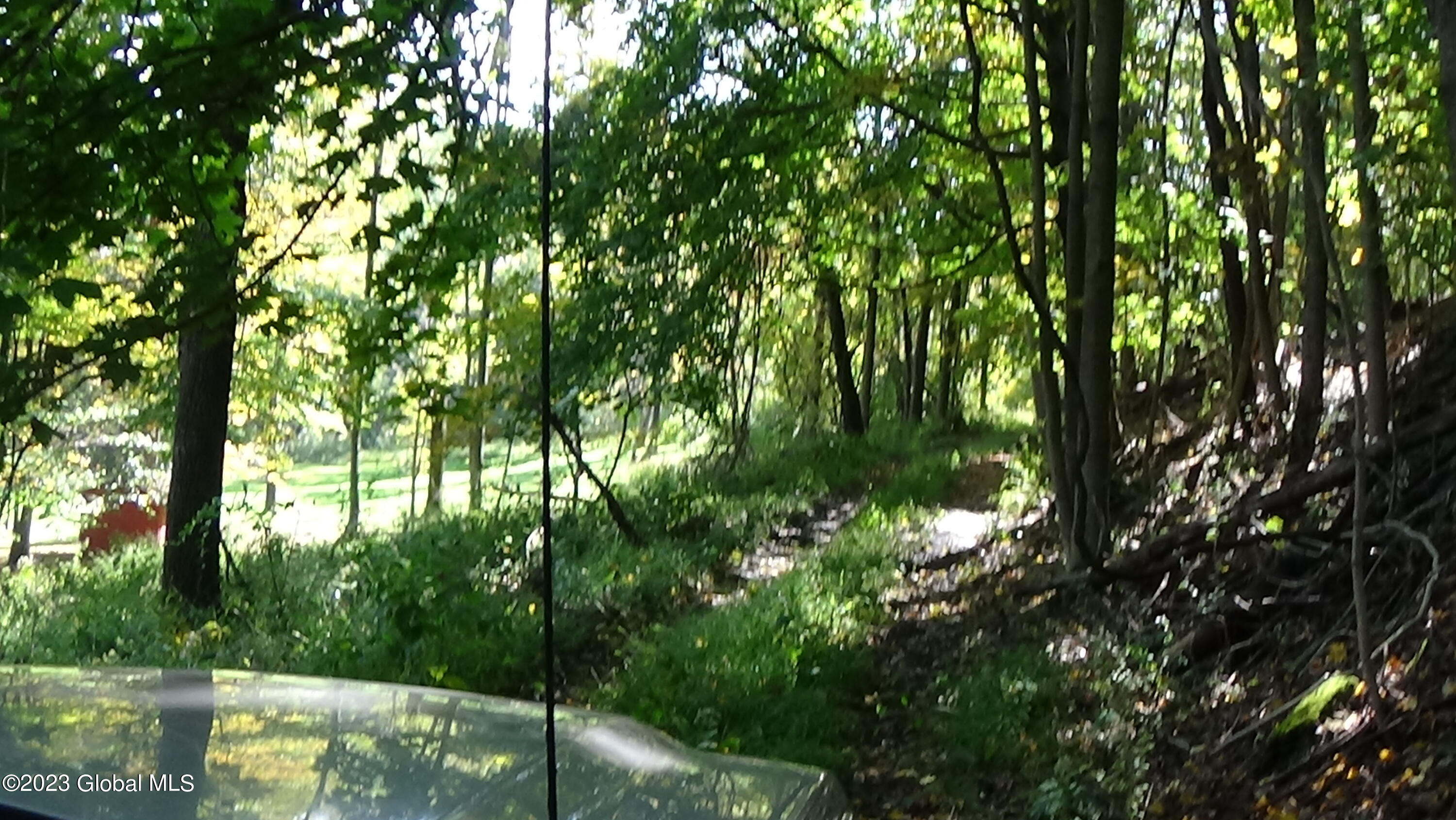 0 River Road West Coxsackie, NY 12192 - Photo 3 of 30 DSC00243