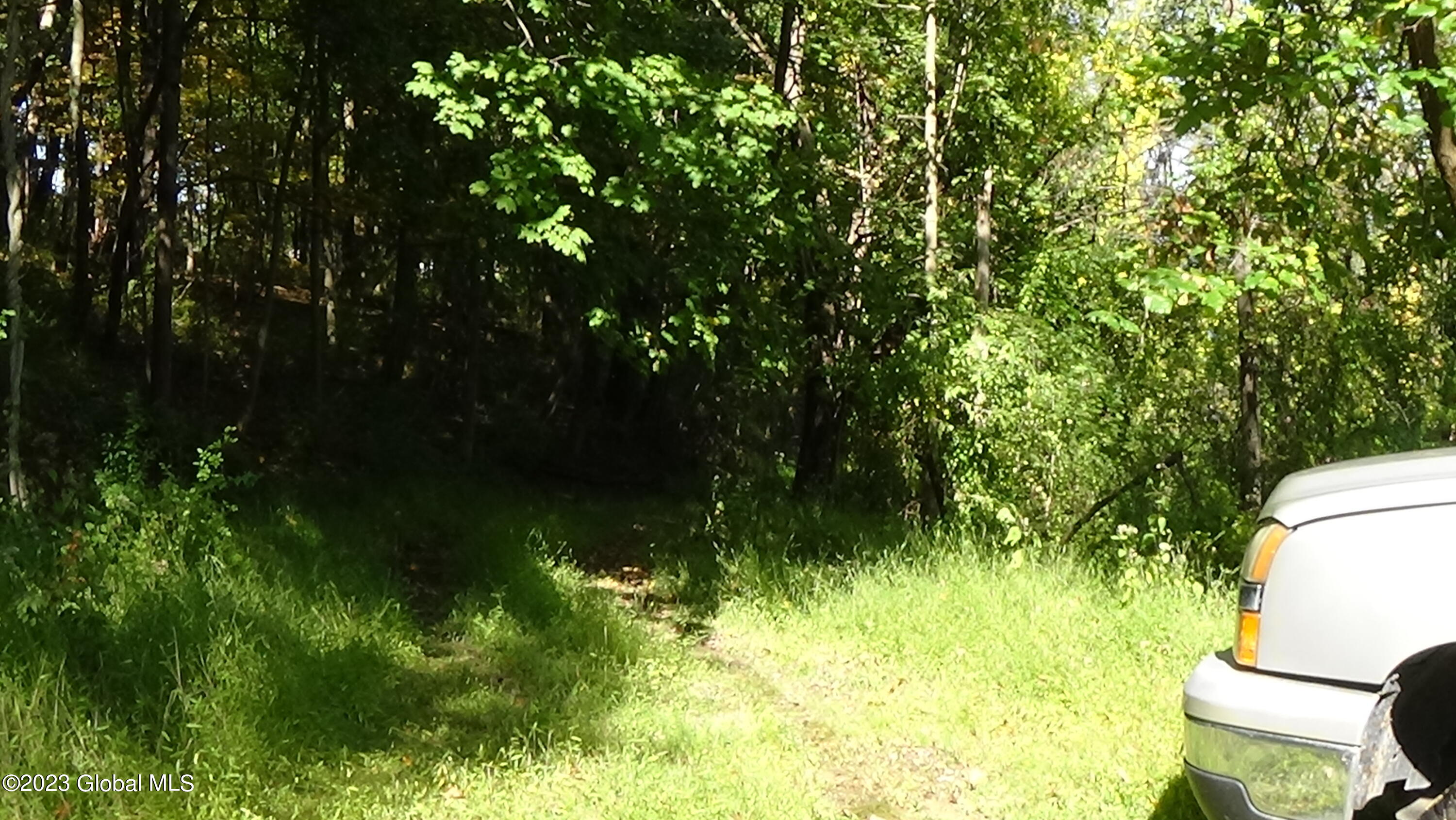 0 River Road West Coxsackie, NY 12192 - Photo 8 of 30 DSC00252