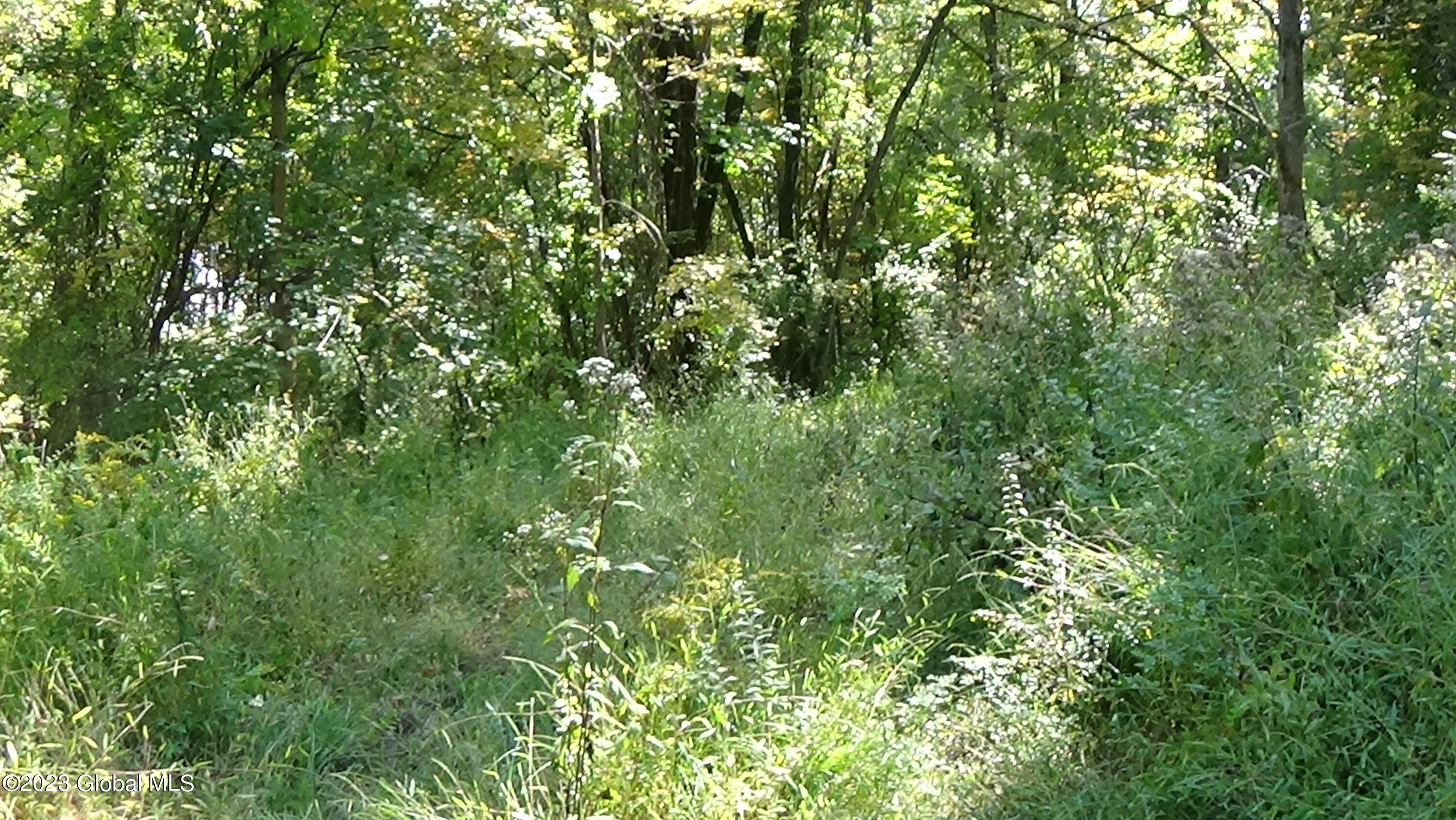 0 River Road West Coxsackie, NY 12192 - Photo 9 of 30 DSC00253