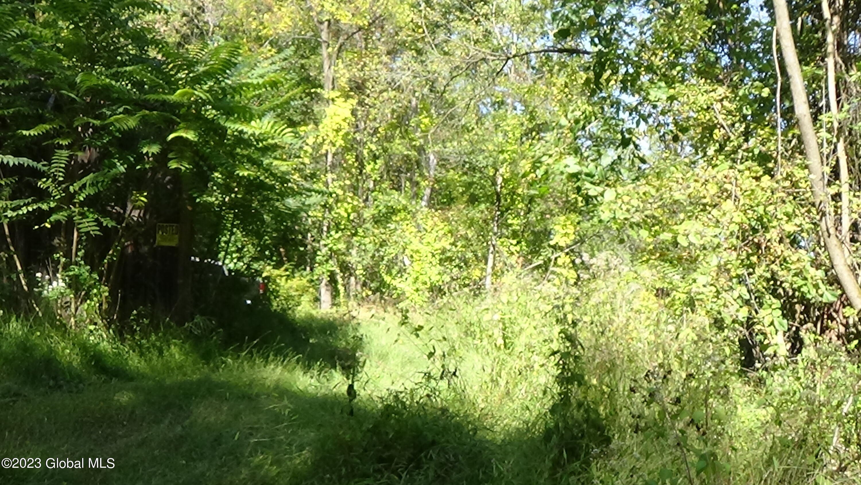0 River Road West Coxsackie, NY 12192 - Photo 10 of 30 DSC00255