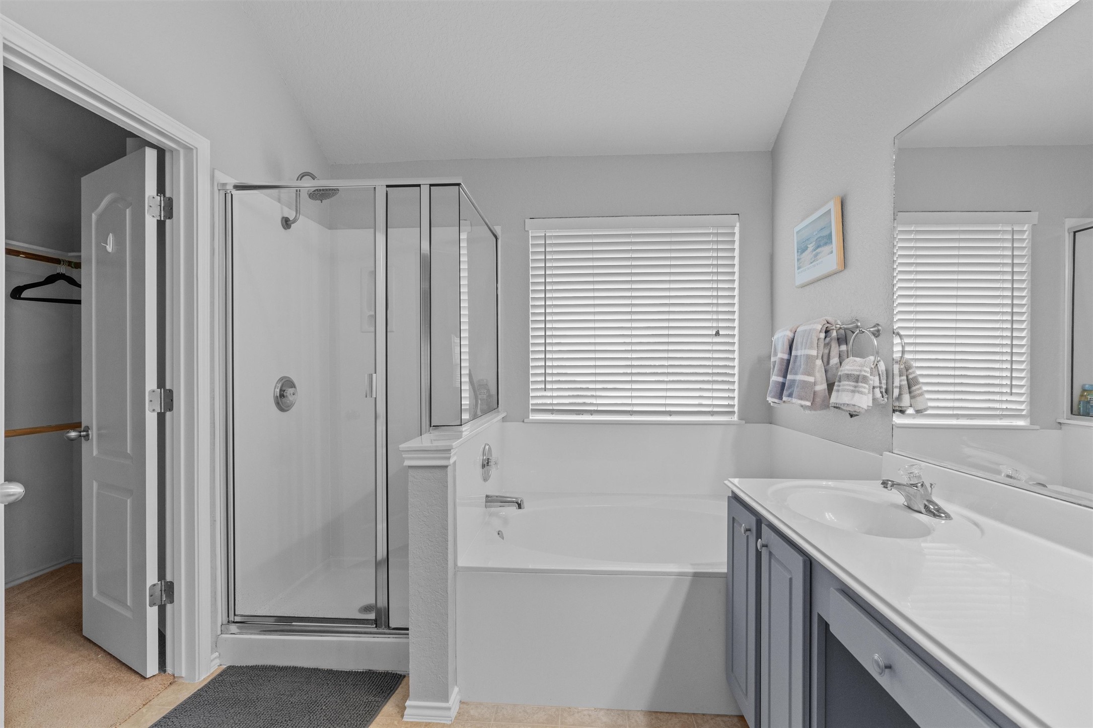 1587 Haynie Bend Round Rock, TX 78665 - Photo 15 of 25 a bathroom with a tub sink and mirror