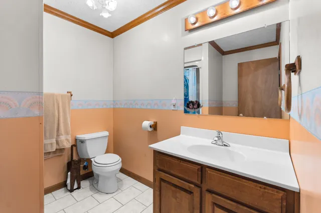 a bathroom with a sink mirror vanity and toilet