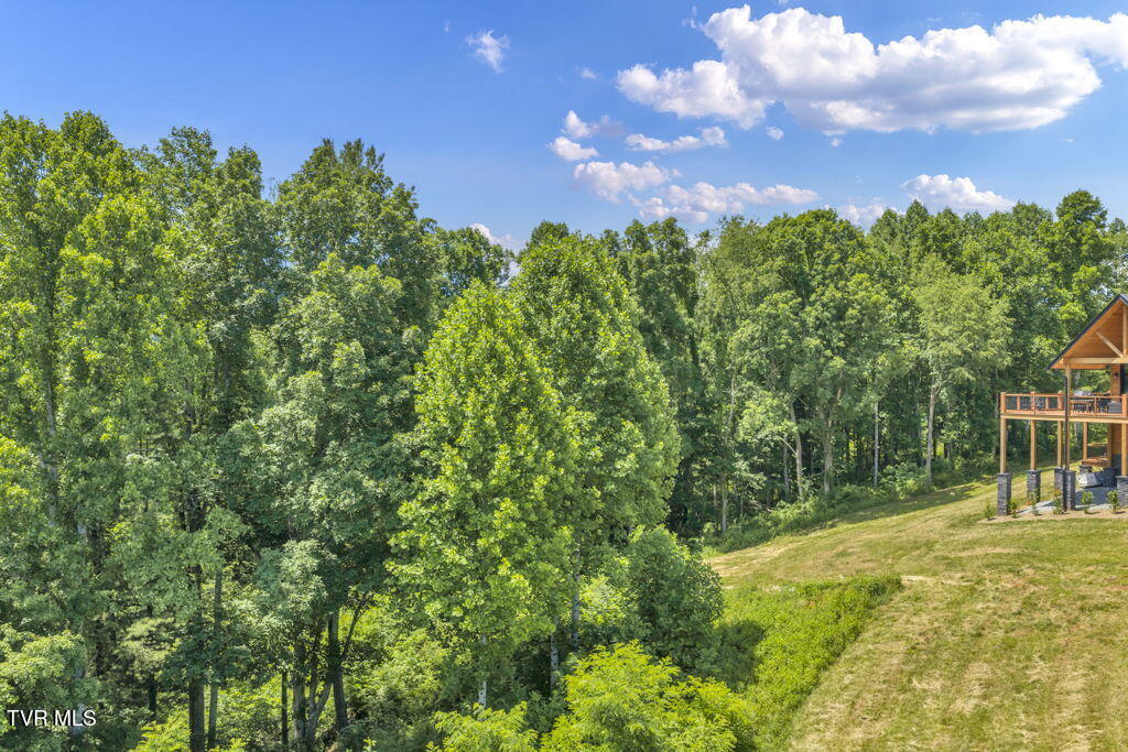 Lot 30 Eagle Rdg Parkway, Unit 30 Butler, TN 37640 - Photo 11 of 28 15-web-or-mls-DJI_20260605120413_0032_D