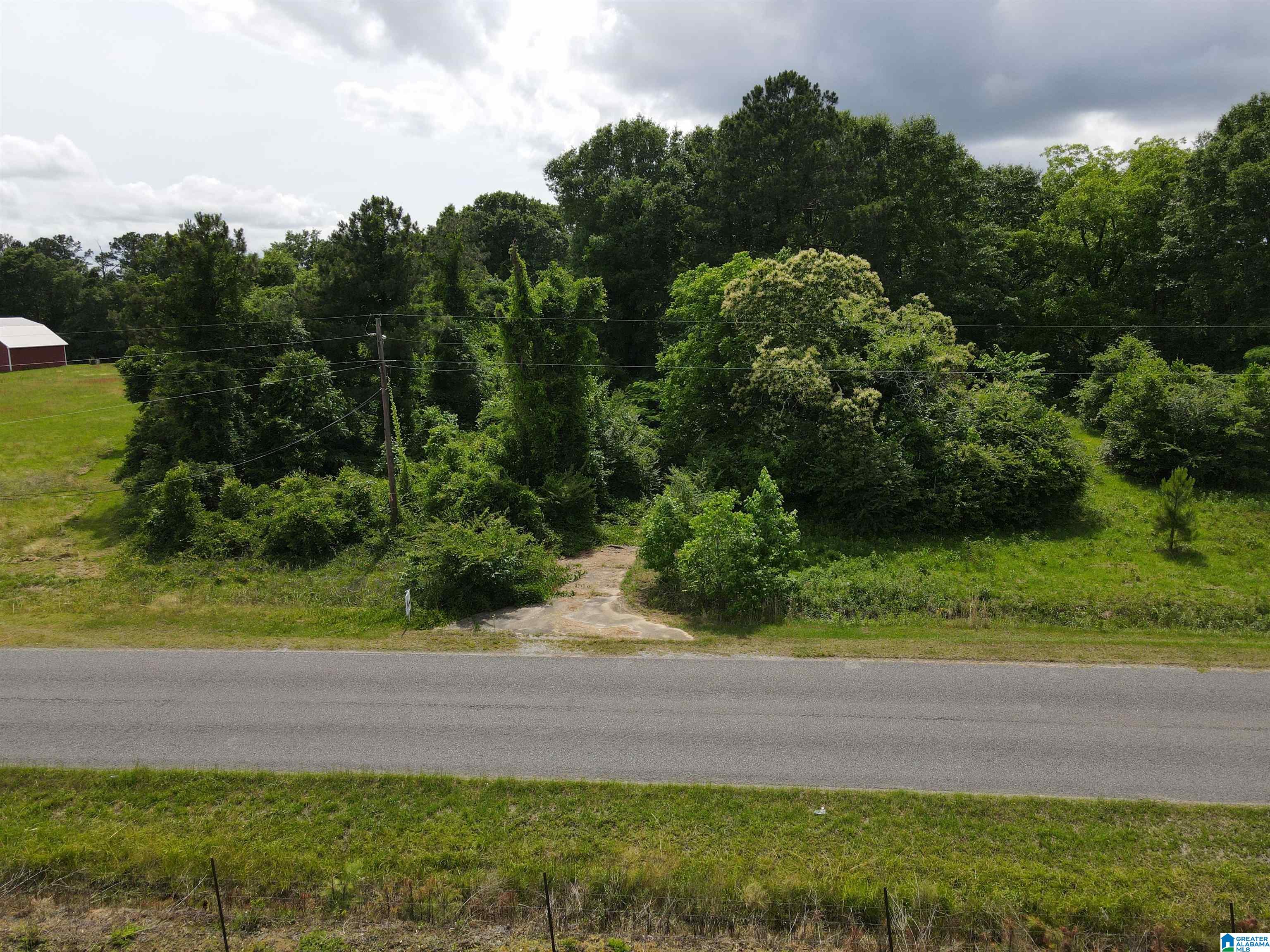 2475 County Road 97 Verbena, AL 36091 - Photo 6 of 6