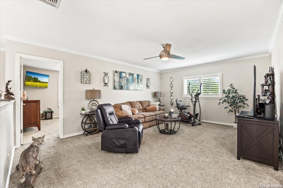 12470 Cedar Trail Helotes, TX 78023 - Photo 17 of 59