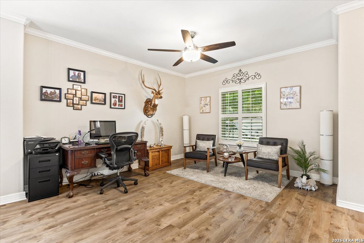 12470 Cedar Trail Helotes, TX 78023 - Photo 6 of 59